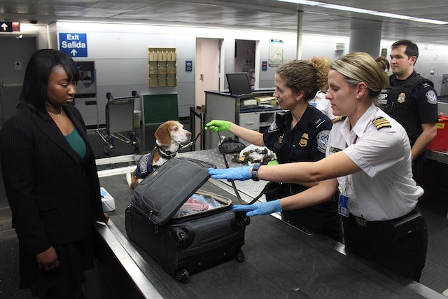 What Happens If You Don't Declare Something At Customs When Leaving The US?