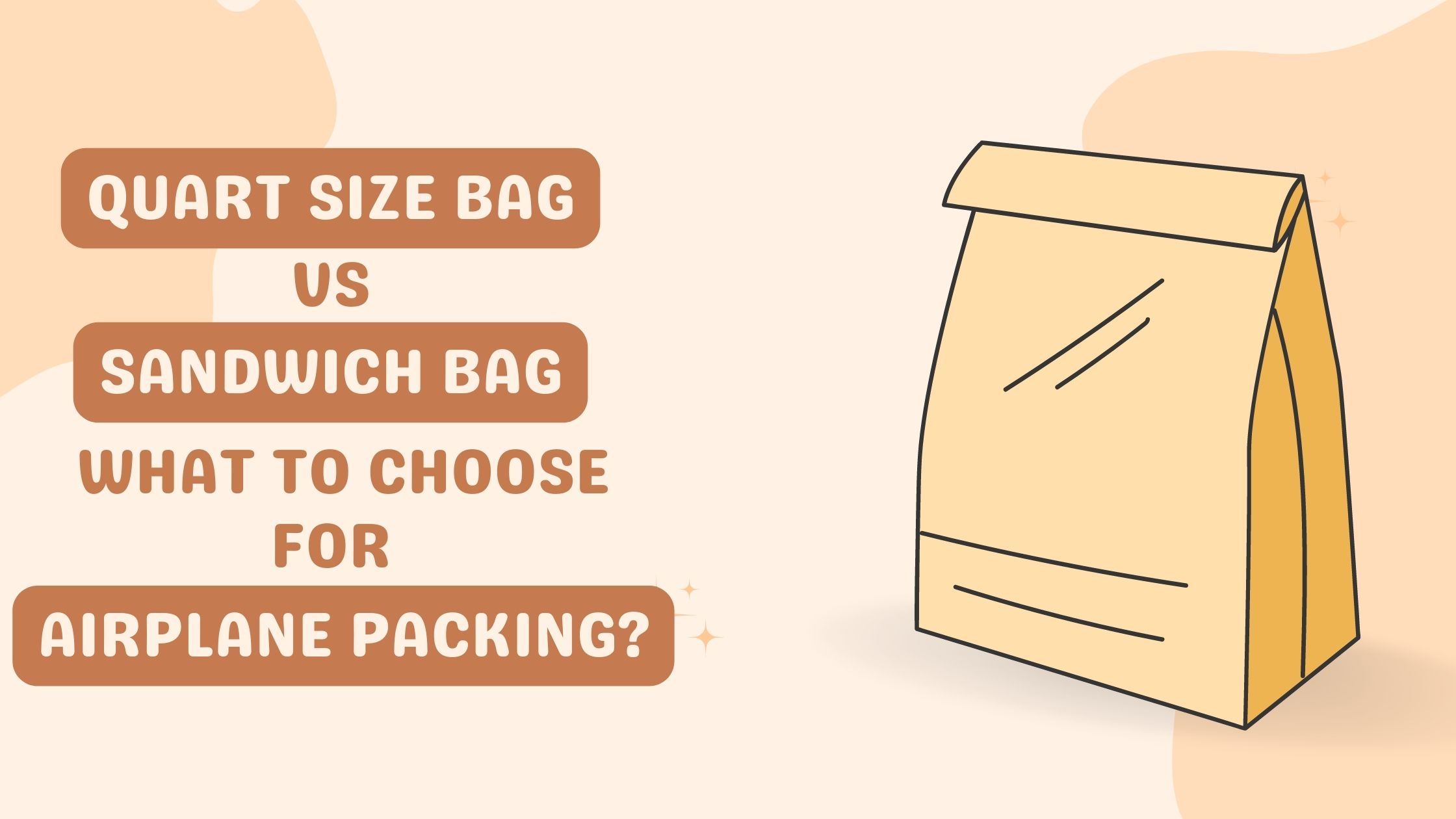 Quart Size Bag Vs Sandwich Bag - What To Choose For Airplane Packing