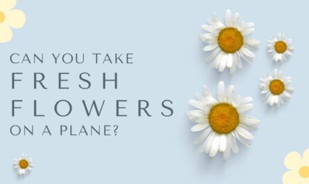 Can You Take Fresh Flowers On A Plane?