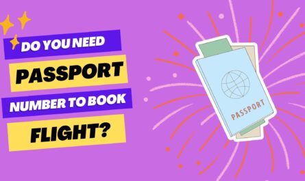 Do You Need Passport Number To Book Flight
