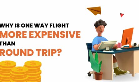 Why Is One Way Flight More Expensive Than Round Trips