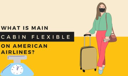 What Is Main Cabin Flexible On American Airlines