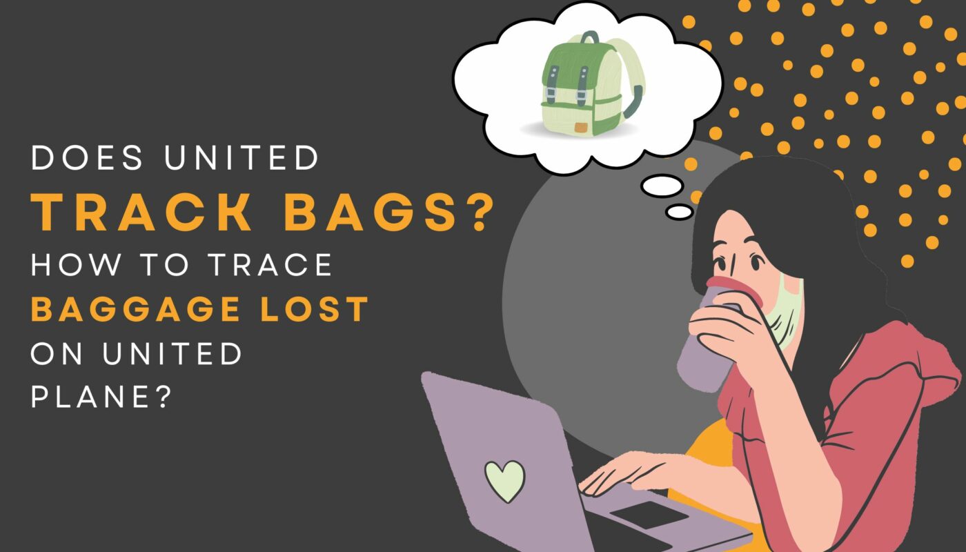 Does United Track Bags How To Trace Baggage Lost On United Planes