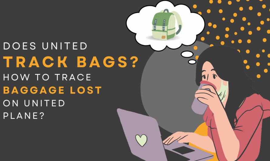Does United Track Bags? How To Trace Baggage Lost On United Planes?