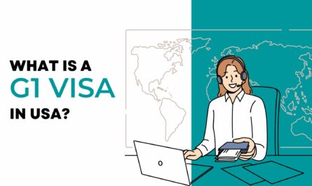 What Is A G1 Visa In USA